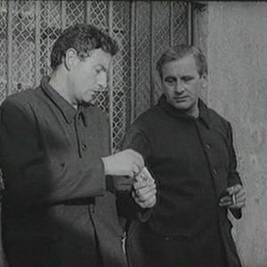 Bilder Regresa un desconocido