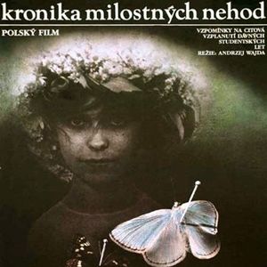 Bilder Chronik einiger Liebesunfälle