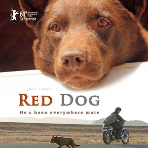 Bilder Red Dog