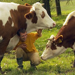 Bilder Im Namen der Tiere