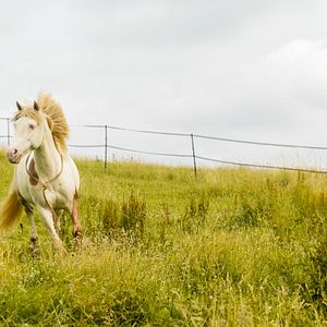 Bilder Wendy - Der Film