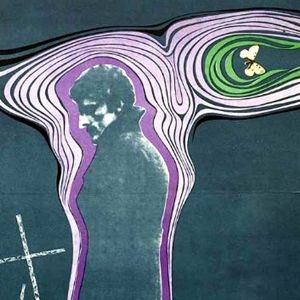 Bilder Das Birkenwäldchen