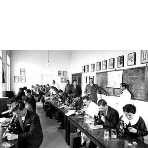 Bilder Haymatloz - Exil in der Türkei