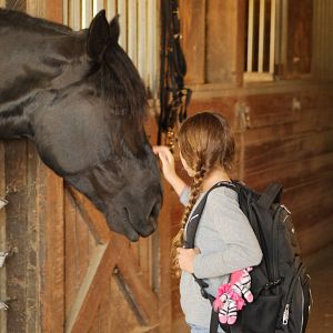 Bilder Für immer beste Freunde