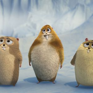 Bilder Norm - König der Arktis