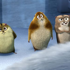 Bilder Norm - König der Arktis