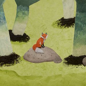 Bilder Les P'tits explorateurs