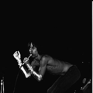 Bilder Iggy Pop