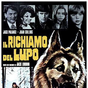 Bilder Der Ruf des Wolfes