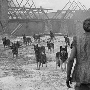 Bilder Marketa Lazarova