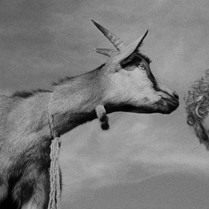 Bilder Marketa Lazarova