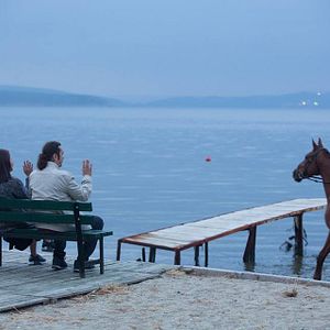 Bilder Benim Adım Feridun