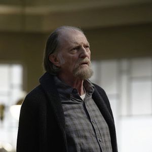 Bilder David Bradley (IV)