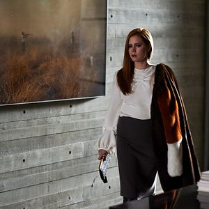 Bilder Nocturnal Animals