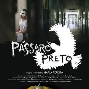 Bilder Pássaro Preto