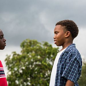 Bilder Alex R. Hibbert