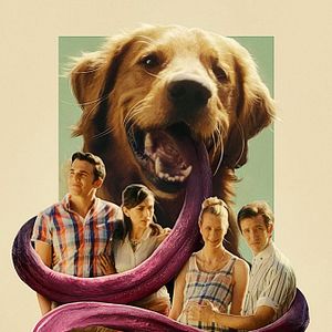 Bilder Greener Grass