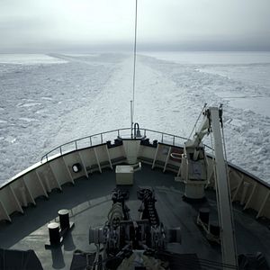 Bilder In the Same Boat