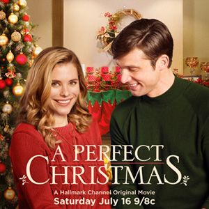 Bilder Ein perfektes Weihnachtsfest