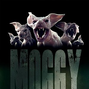 Bilder Moggy Creatures