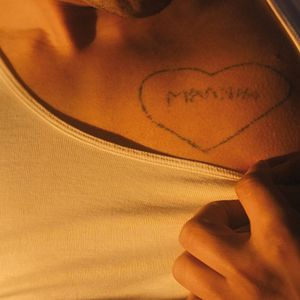 Bilder Brüder der Nacht