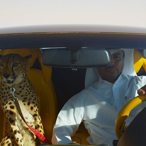 Bilder The Challenge