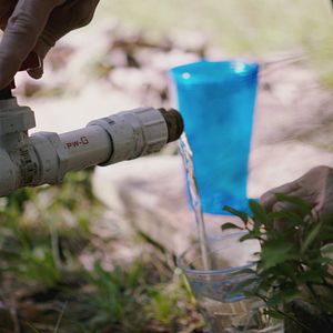 Bilder Wovon träumt das Internet?