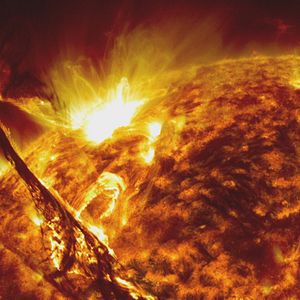 Bilder Wovon träumt das Internet?