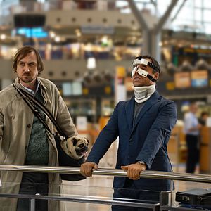 Bilder Die Blumen von gestern