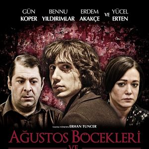 Bilder Ağustos Böcekleri ve Karıncalar