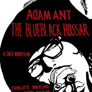 Bilder The Blueblack Hussar