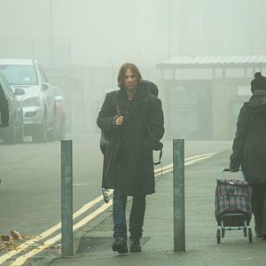 Bilder Bob, der Streuner