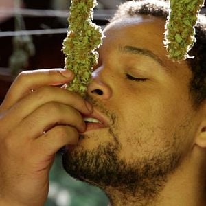 Bilder Star Leaf - Das Kiffer-Imperium schlägt zurück