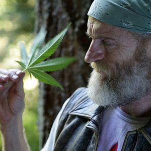 Bilder Star Leaf - Das Kiffer-Imperium schlägt zurück