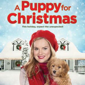 Bilder A Puppy for Christmas