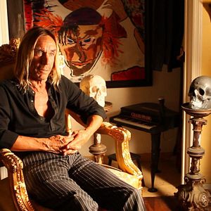 Bilder Iggy Pop