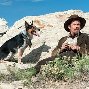 Bilder Ethan Hawke