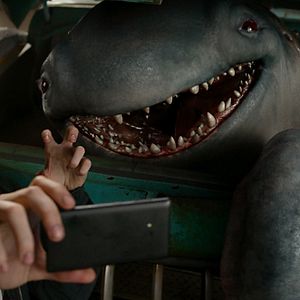 Bilder Monster Trucks