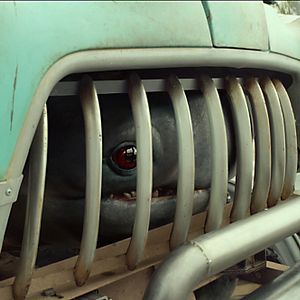 Bilder Monster Trucks