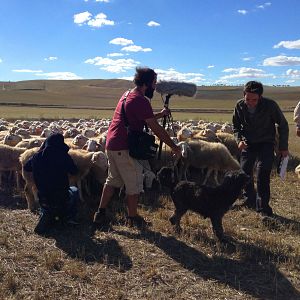 Bilder Bienvenido Mr. Heston