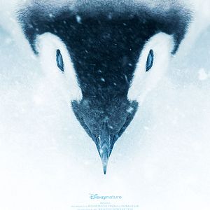 Bilder Die Reise der Pinguine 2