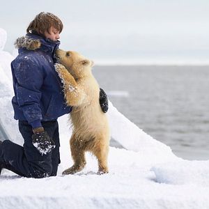 Bilder Midnight Sun - Abenteuer. Freundschaft. Ewiges Eis.