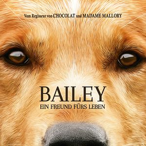 Bilder Bailey - Ein Freund fürs Leben