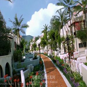 Bilder La substància