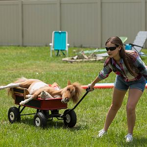 Bilder Apple Of My Eye - Schutzengel brauchen keine Flügel