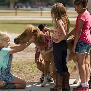 Bilder Apple Of My Eye - Schutzengel brauchen keine Flügel