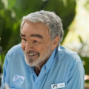 Bilder Apple Of My Eye - Schutzengel brauchen keine Flügel