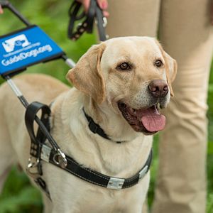 Bilder Apple Of My Eye - Schutzengel brauchen keine Flügel