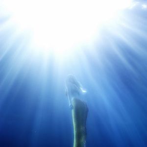 Bilder H2O - Plötzlich Meerjungfrau: Der Spielfilm zur 3. Staffel