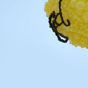 Bilder The Happy Film